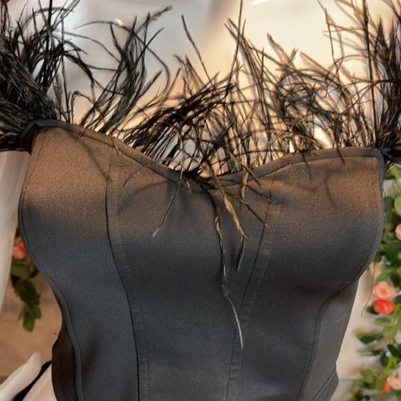 Micas Feathered Trim Off the Shoulders Satin Corset Style Crop Top RefHHH‎ - Picture 9 of 12